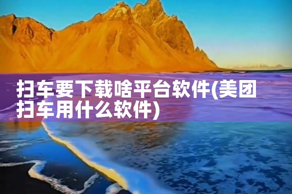 扫车要下载啥平台软件