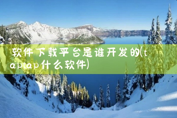 软件下载平台是谁开发的