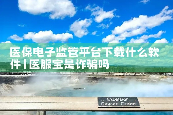 医保电子监管平台下载什么软件