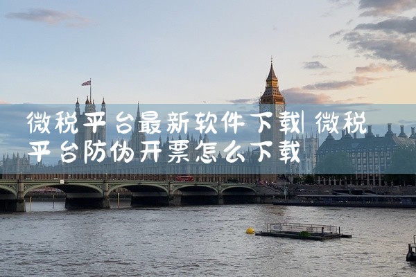 微税平台最新软件下载