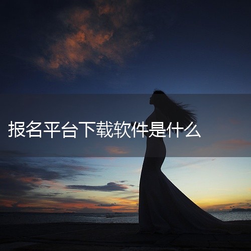 不同考试的报名软件有所不同，具体如下：初级会计师考试：报名入口为全国会计人员统一服务管理平台，没有特定的报名软件。考生需登录该平台网址，在首页找到“会计专业技术资格考试”选项，点击进入后按照提示进行网|